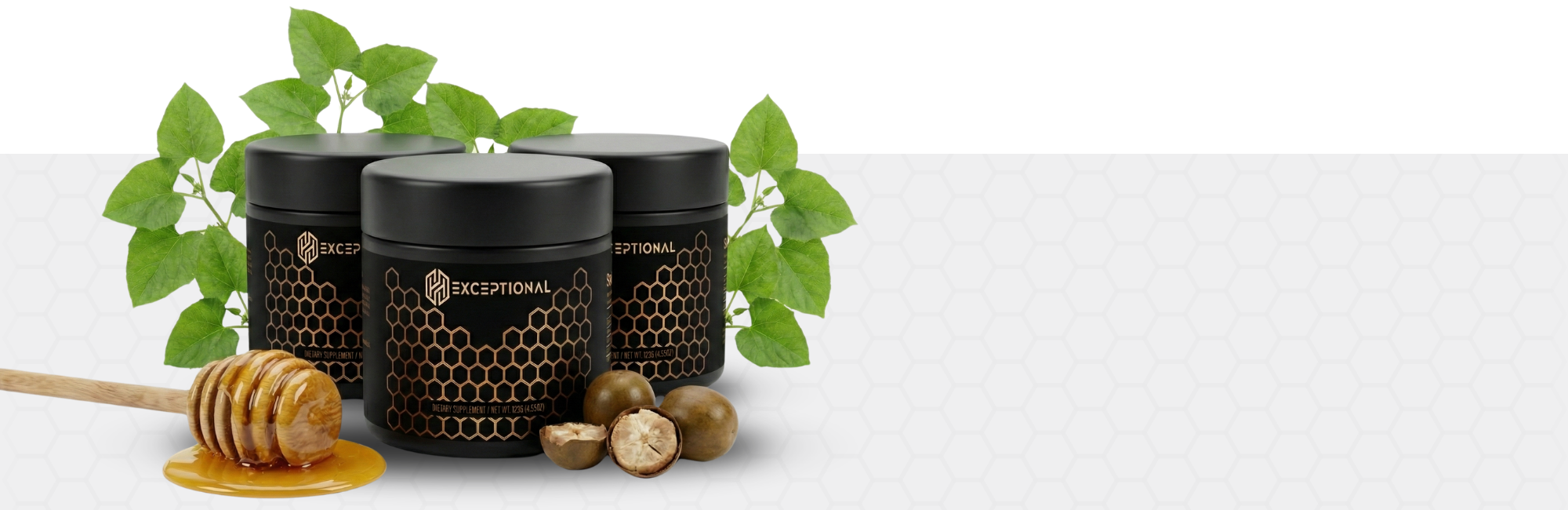 Bottom IMG - Why.2.png