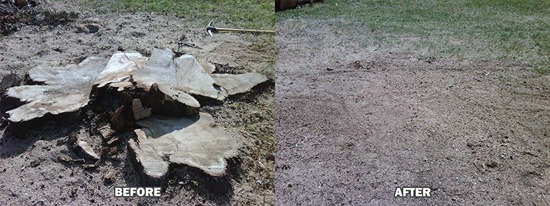 a before and after of a stump removal