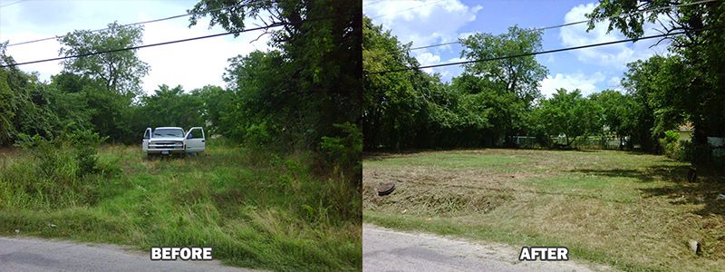 before and after of a grass plot