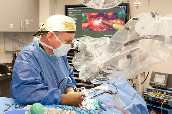 Dr. Jay McDonnell , DACVIM (Neurology) operating