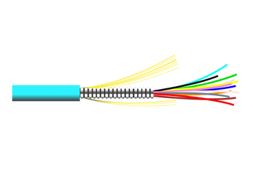 AMC-1.png