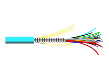 AMC-2.png