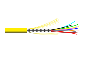 AMC-4.png