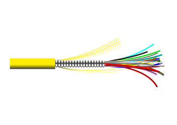 AMC-5.png