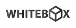 2 Logo 2.png