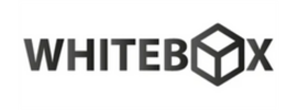 2 Logo 2.png