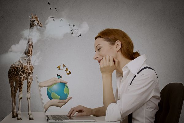 a woman looking at her laptop as magical nature pops out of the screen