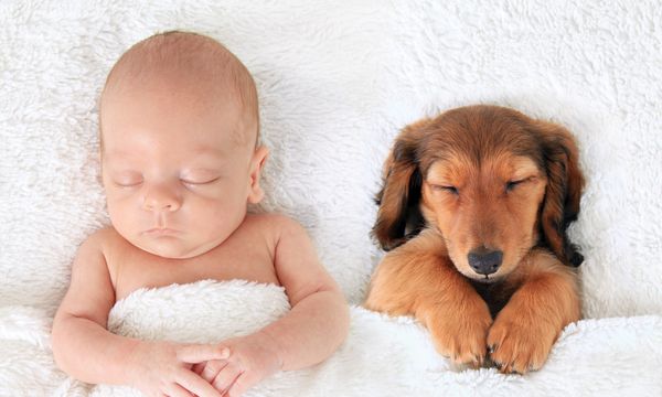 a baby and puppy sleeping under a fluffy blanket