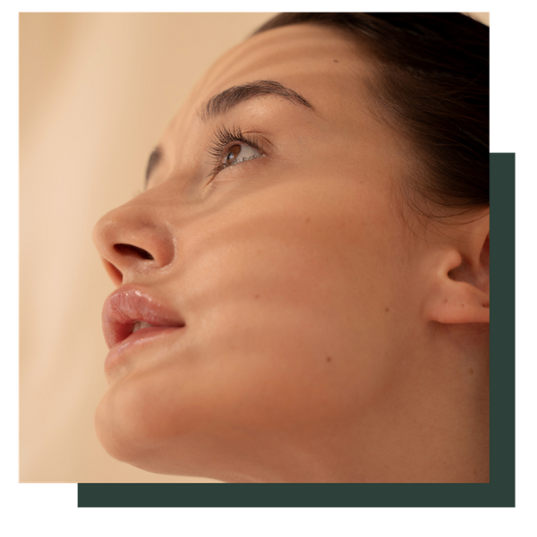 Vein Procedures 4 (1).png
