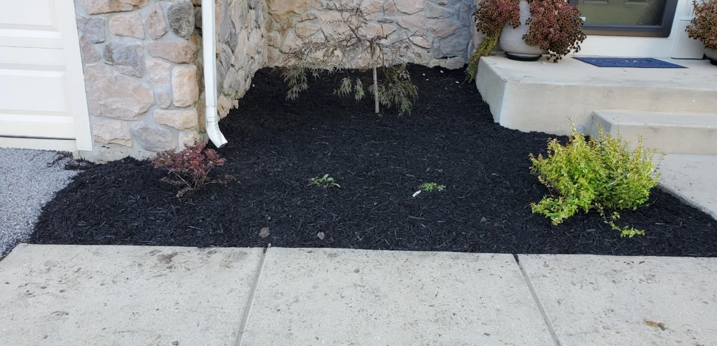 Screen Shot 2023-03-13 at 5.06.17 PM.png