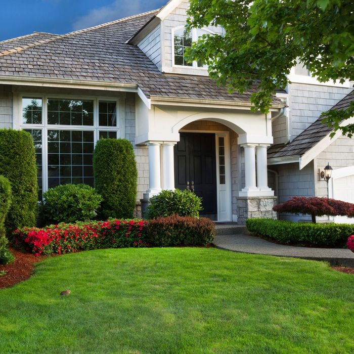 house with landscaped yard