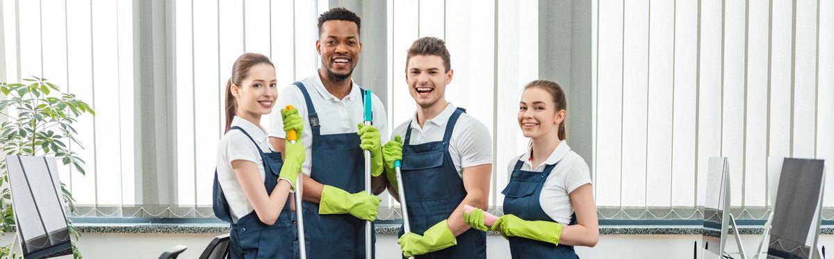 professional cleaning service 