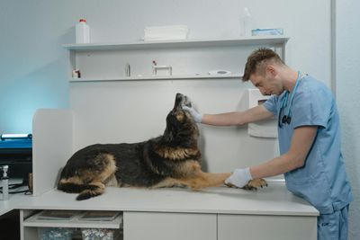 affordable Veterinarian Clinic Cleaning Services in Edmonton