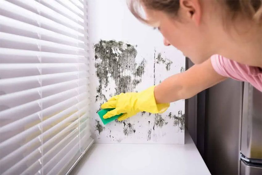 wall cleaning