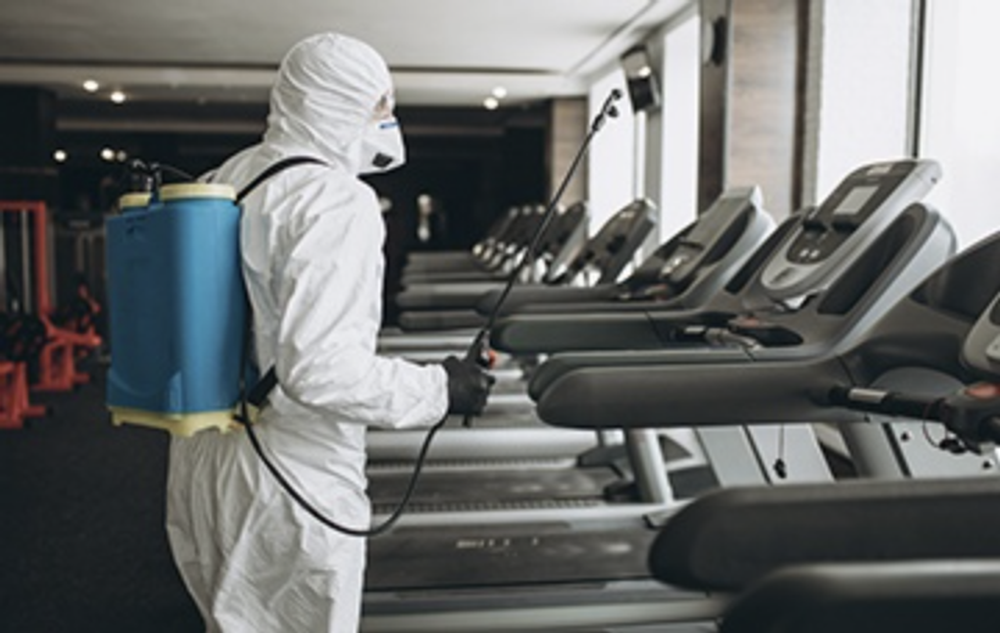 Professional disinfection service