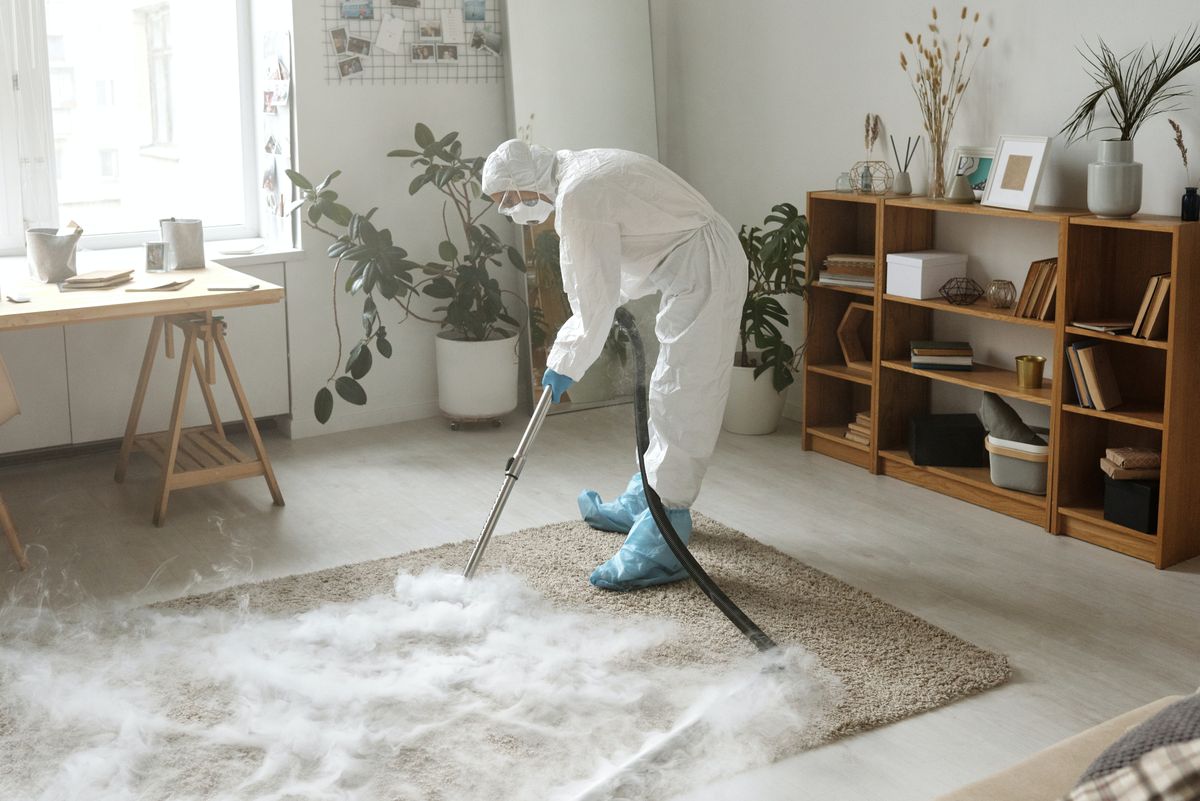 carpet cleaning service