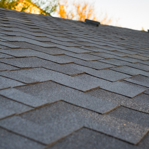 unique design in shingles 