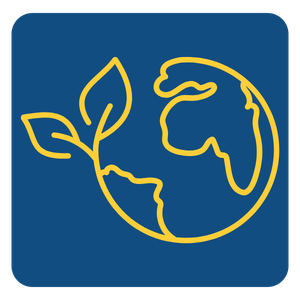 eco friendly earth icon