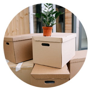 moving boxes
