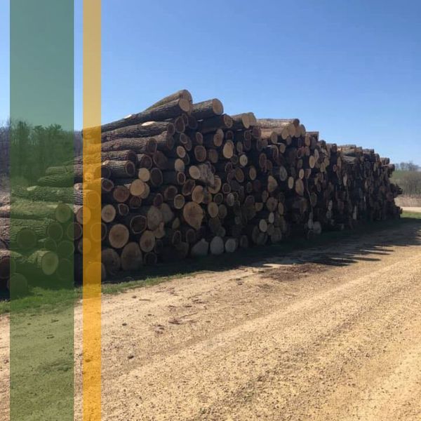 Lumber Purchasing.jpg
