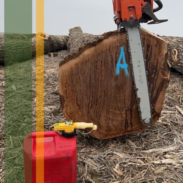 Tree Marking.jpg