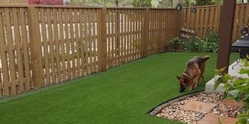 Small Backyard - PlushGrass Turf 500x250.jpg