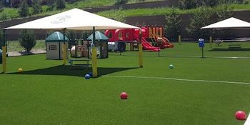 Community Playground - PlushGrass Turf 500x250.jpg