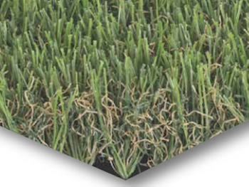 LushLawn Meadow.