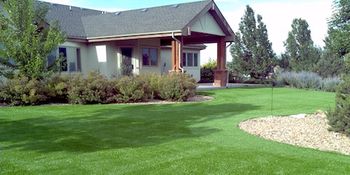 Backyard Putting Green - PlushGrass Turf 500x250.jpg