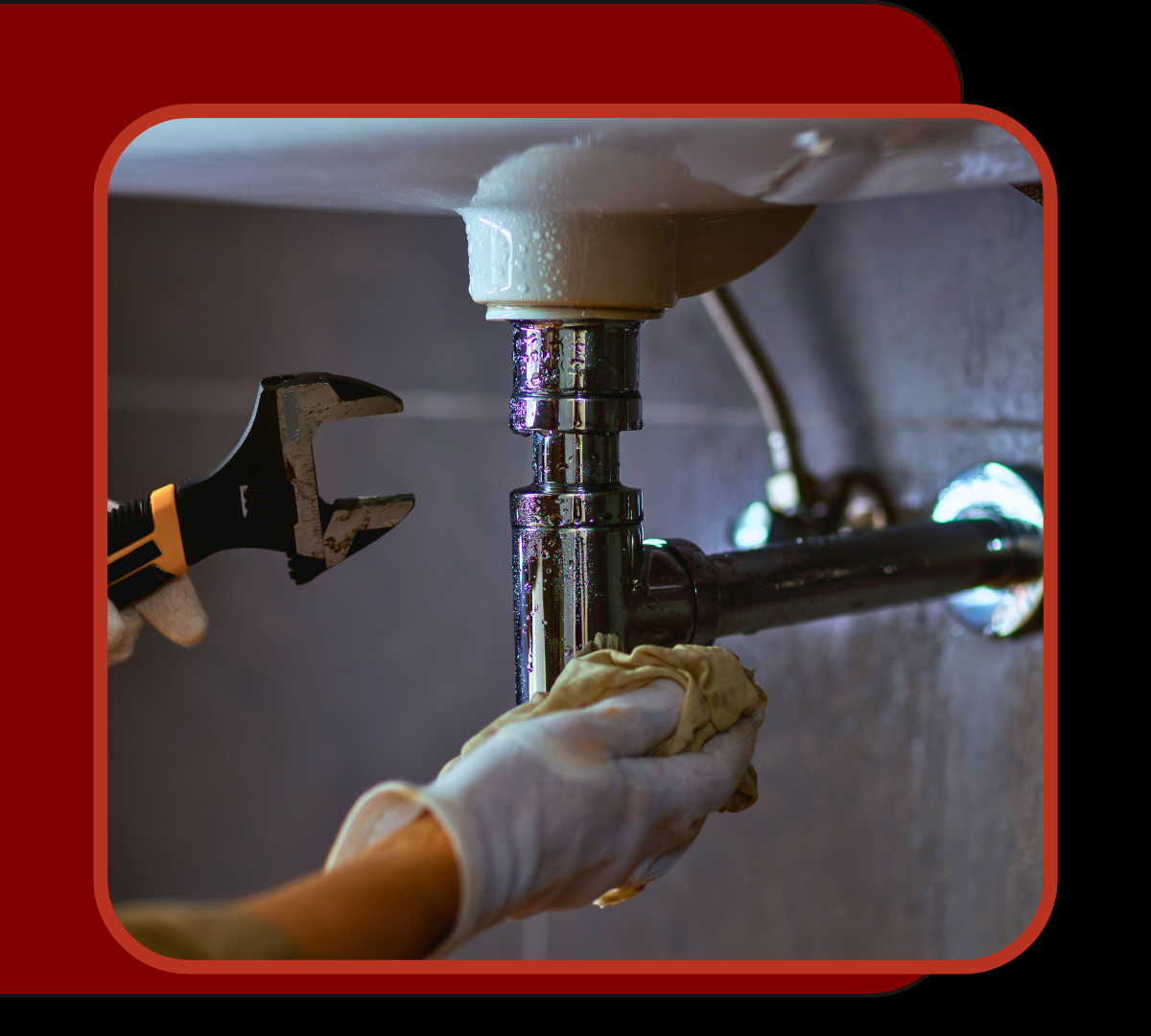 homepage image 1.png