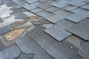 roof repair.png