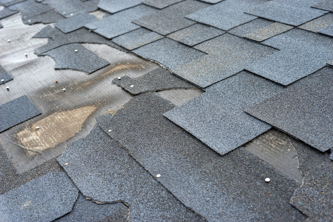 roof repair.png