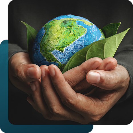 hands holding earth globe and leaves