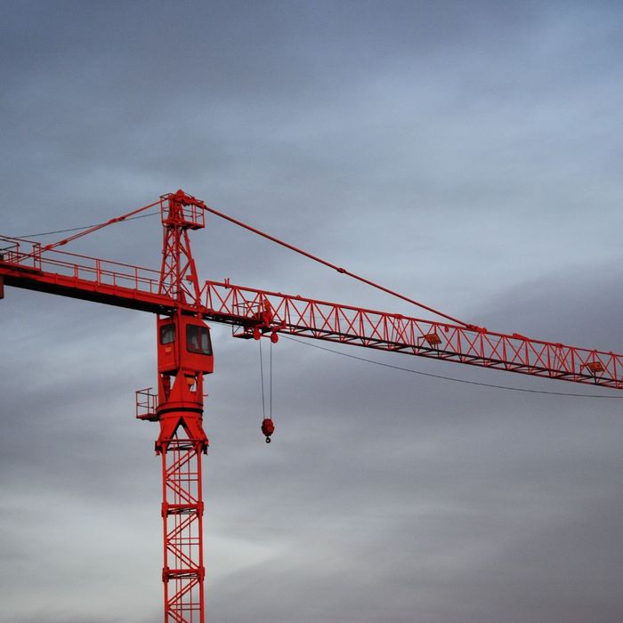 red crane red crane