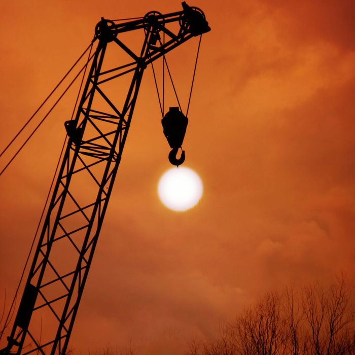 crane at sunset crane at sunset