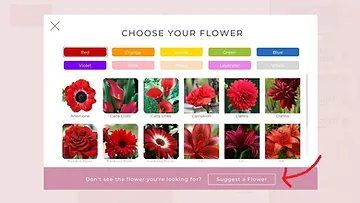 blog pick a flower.jpg