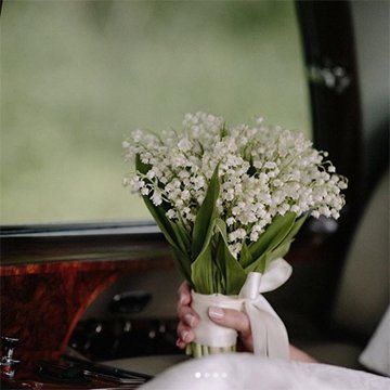 blog lily of the valley.jpg