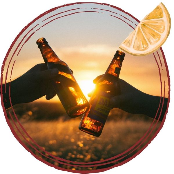 clinking beer bottles in the sunshine