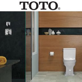 Toto-589de31b510da.jpg