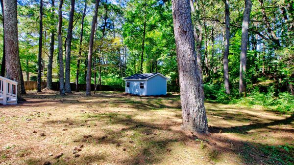 Shed is larger than it seems in this photo