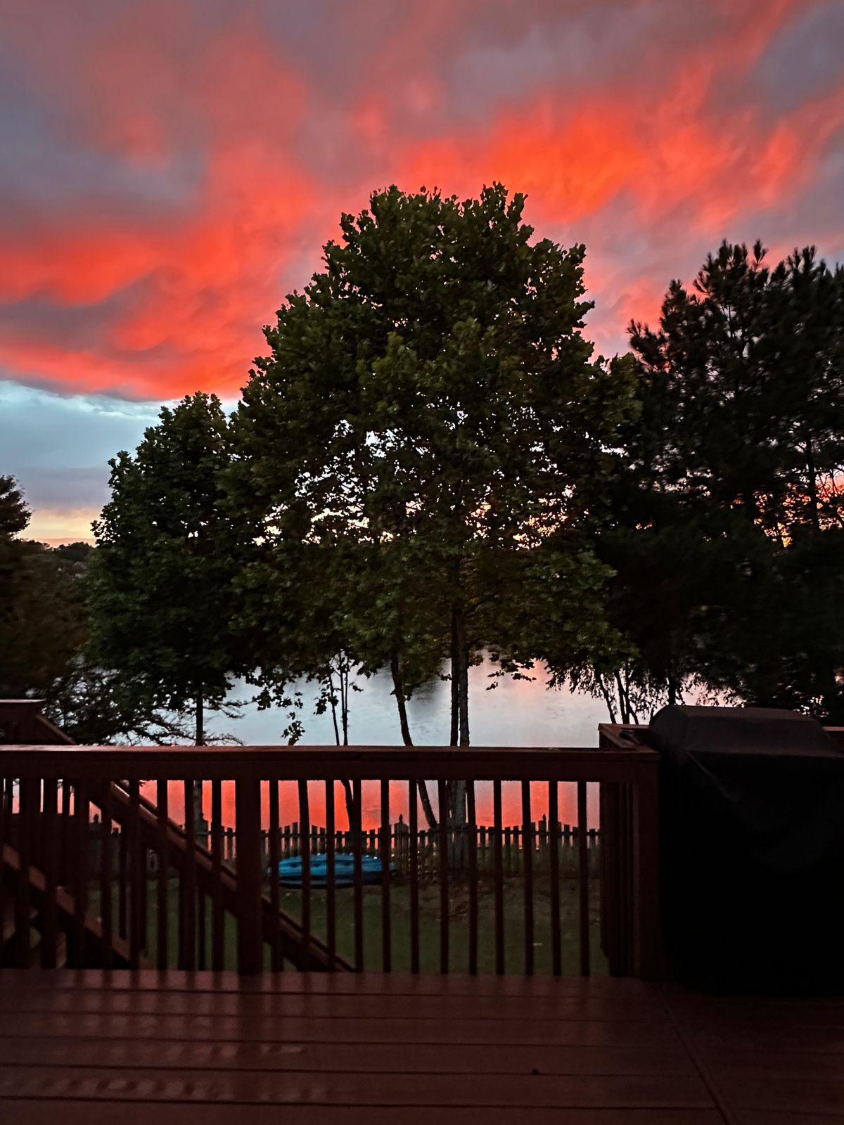 WhatsApp Image 2025-11-18 at 7.11.42 PM.jpeg