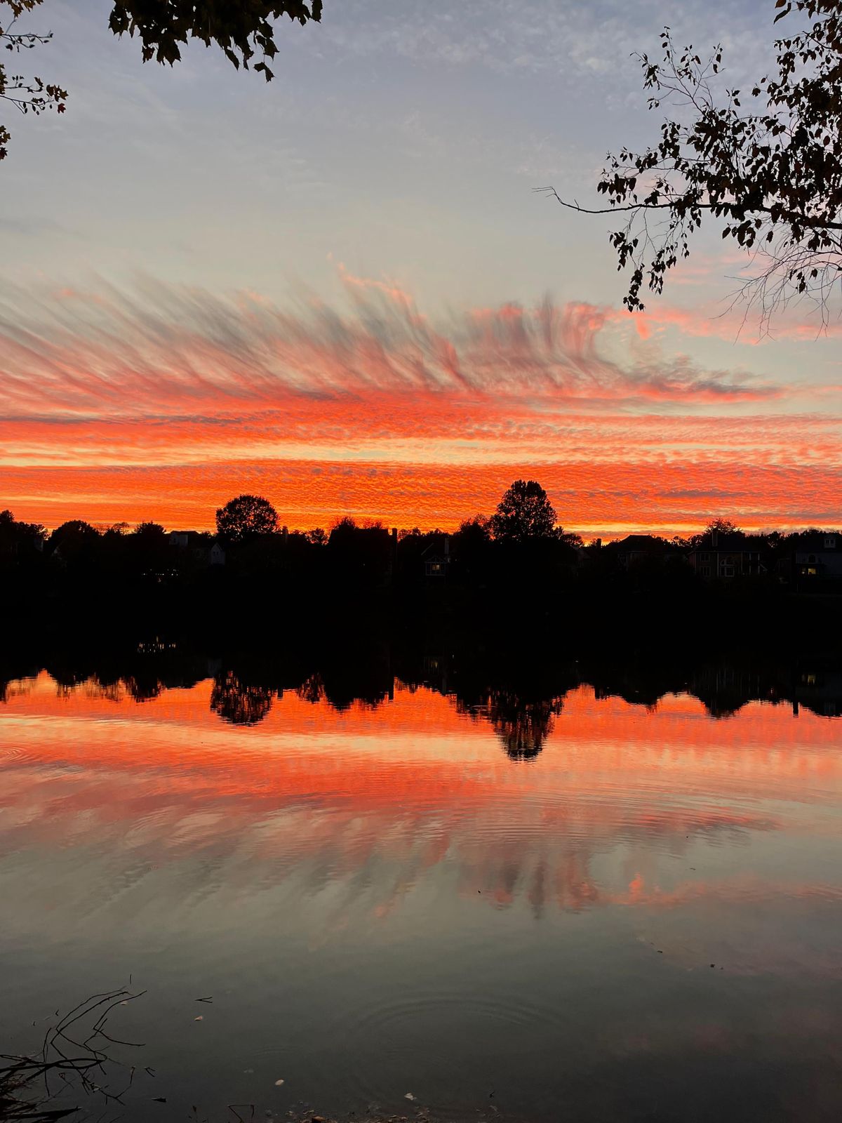 WhatsApp Image 2025-11-18 at 7.10.51 PM.jpeg