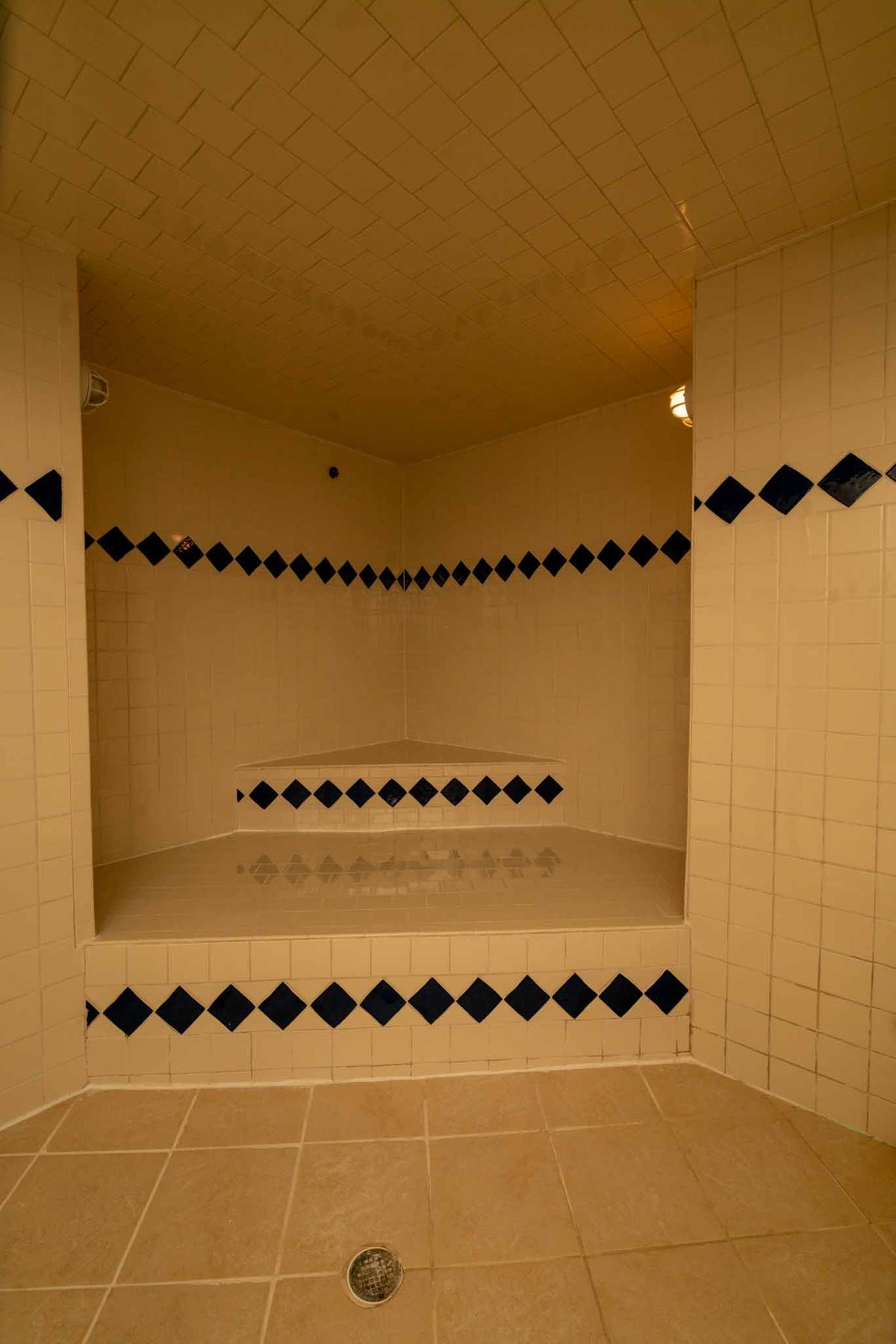 TERRACE LEVEL STEAM ROOM