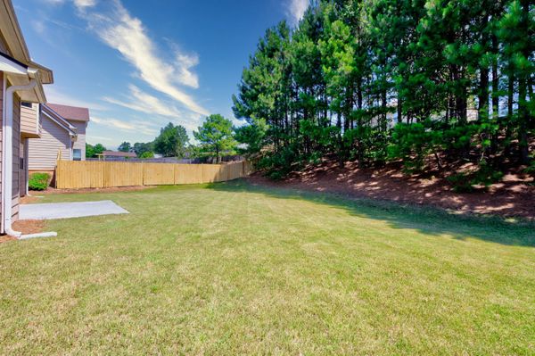 Such a nice level back yard!