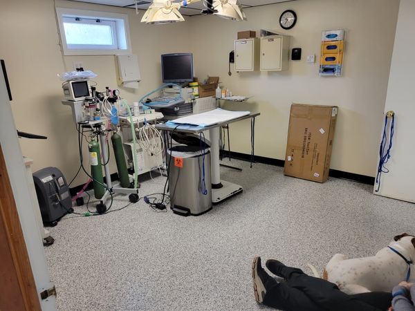 Finished Surgical Room with Polyaspartic Floor and Cove Base – Airway Animal Clinic