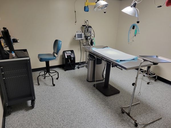 Completed Surgery Suite with Polyaspartic Floor and Cove Base – Airway Animal Clinic