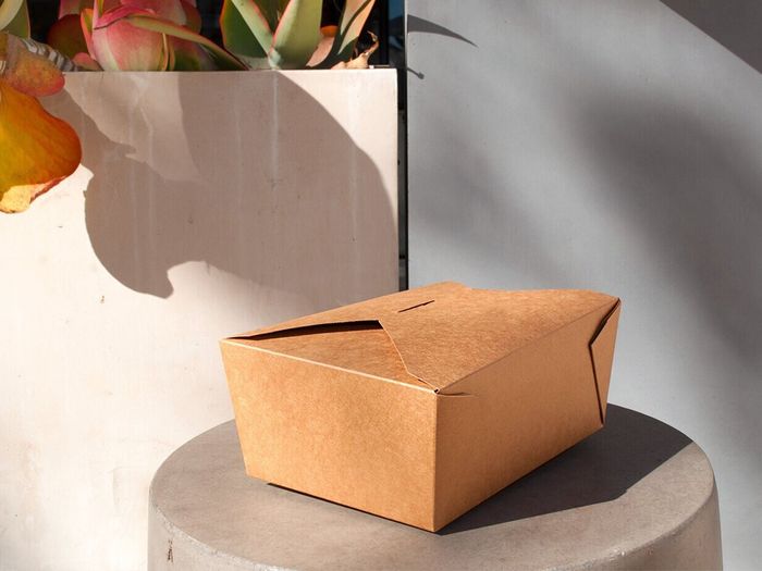 Image of a paper takeout box next to a plant