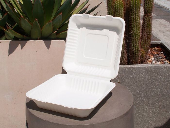 Eatery Outlet's affordable sugarcane boxes