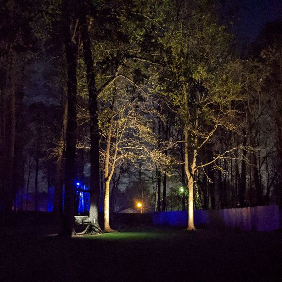 Tree and Swing Area Landscape Lighting at Night