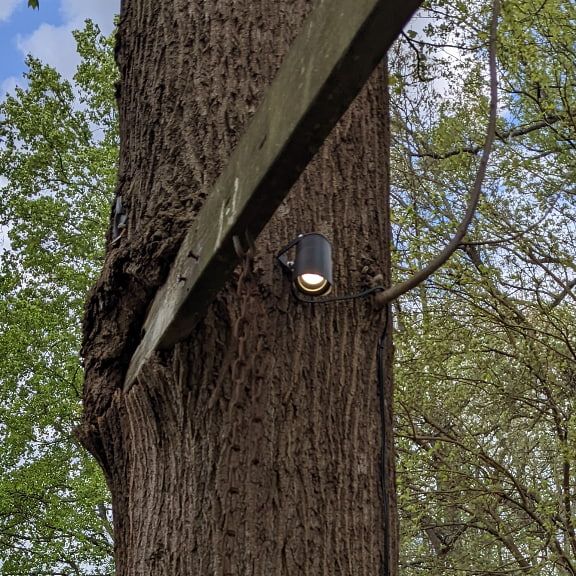 Tree Mounted Landscape Lighting Winston-Salem NC